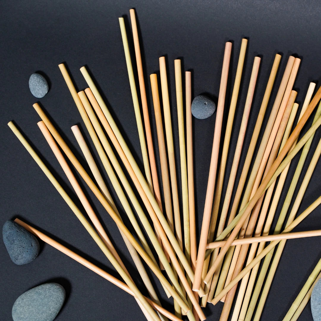 Paille en herbe de Bambou, appelé roseau. Longueur 20 cm. Economique, écologique et biodégradable