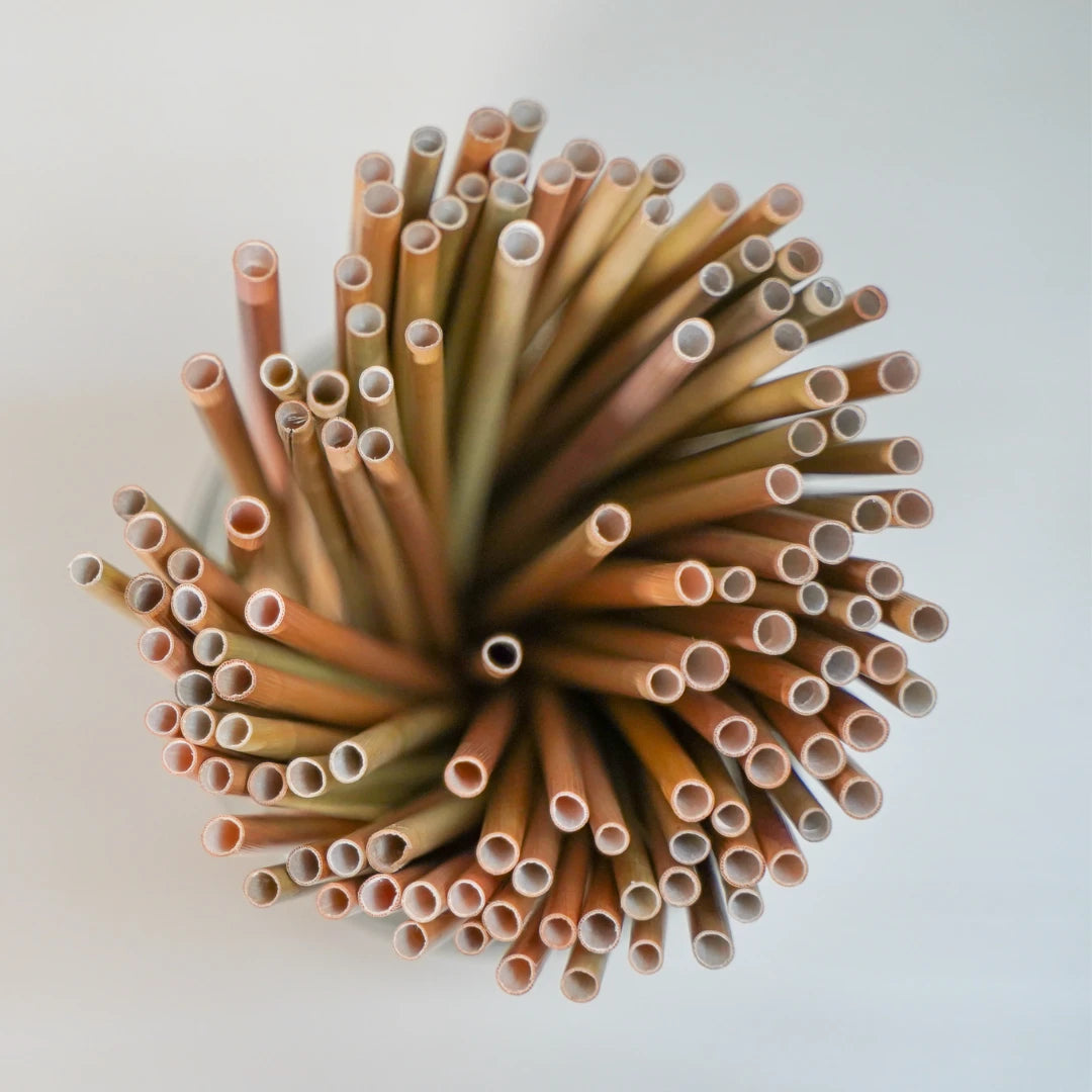 Paille en herbe de Bambou, appelé roseau. Longueur 20 cm.