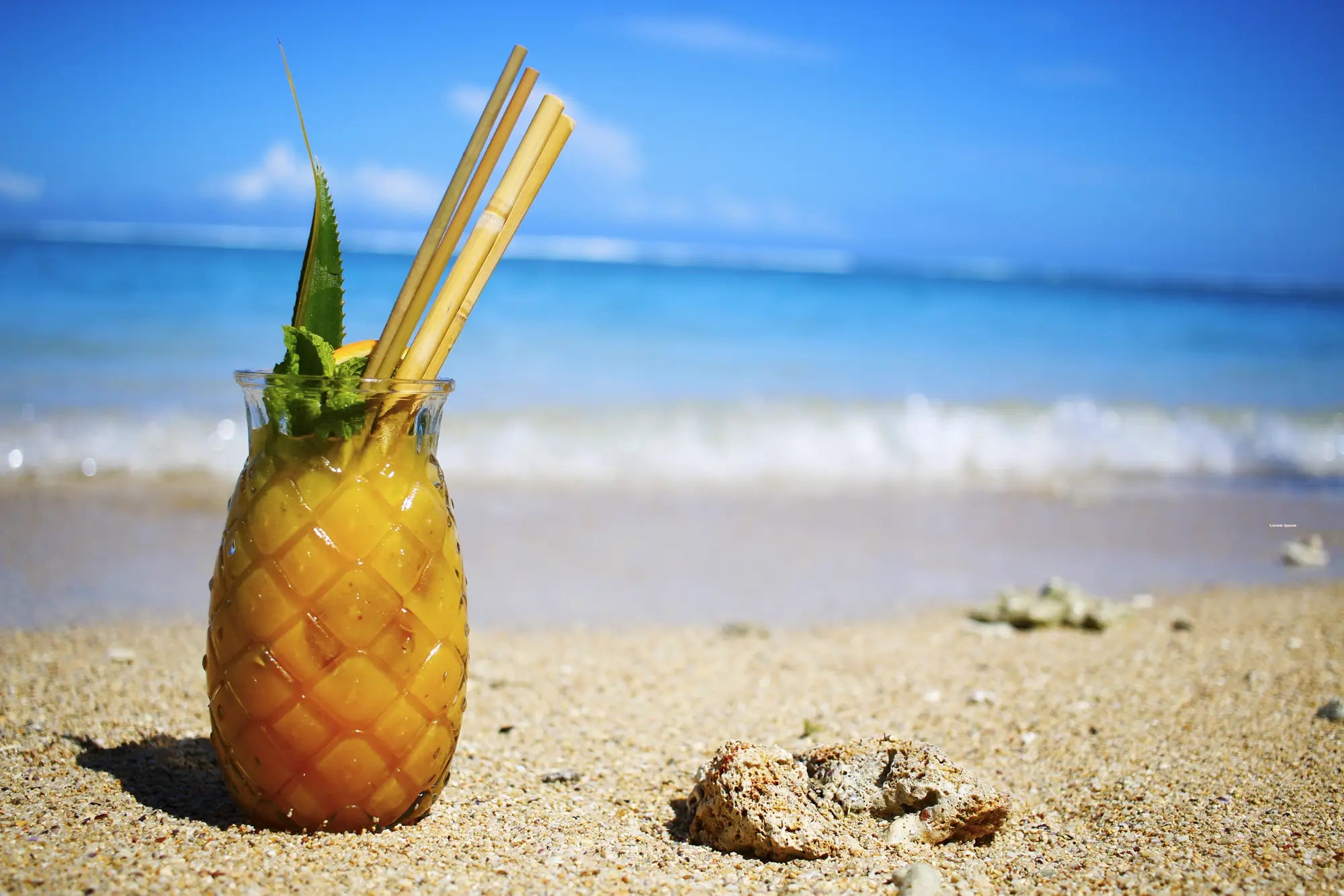 Welcome to the beach